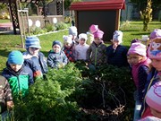 Sklízíme úrodu na školní zahrádce